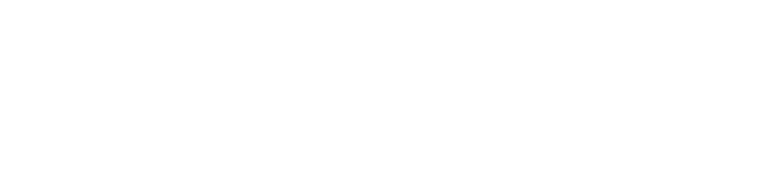Publicinput-logo-whiteonly